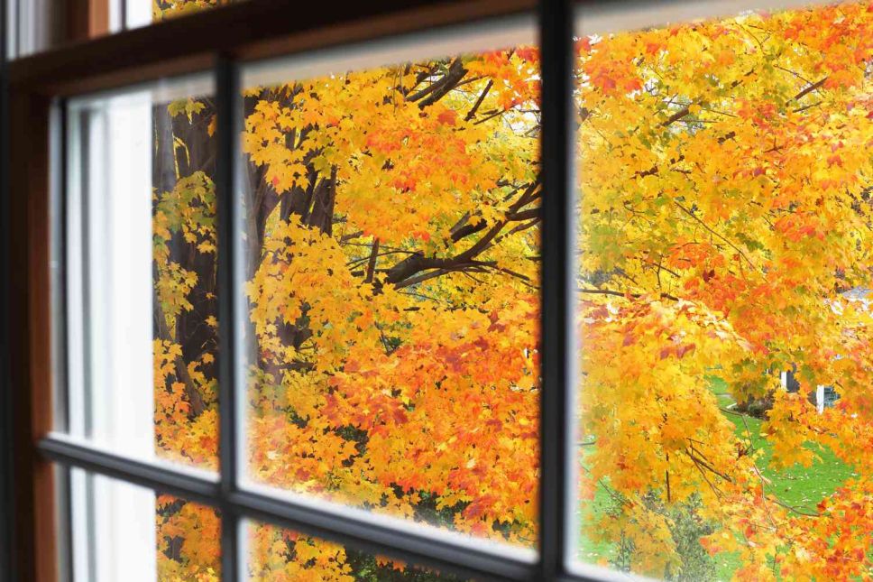 How to Care for Your Windows Before Fall